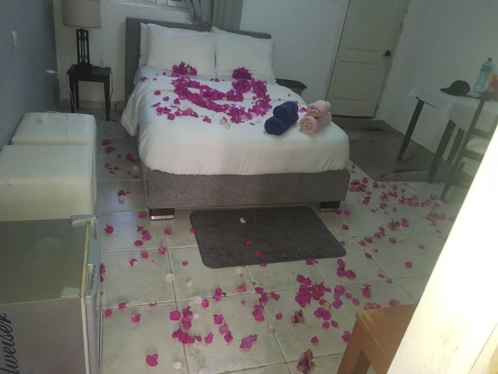 Abémé Poco Loco B&B المظهر الخارجي الصورة